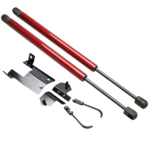 Car Hood Lift Struts