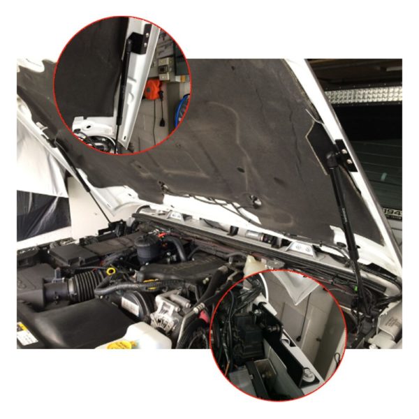 Car Hood Lift Struts - Image 6