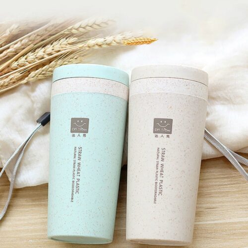 Insulated Travel Coffee Mugs