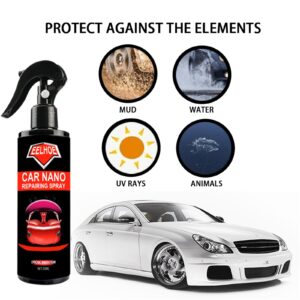 Auto Paint Protection Spray