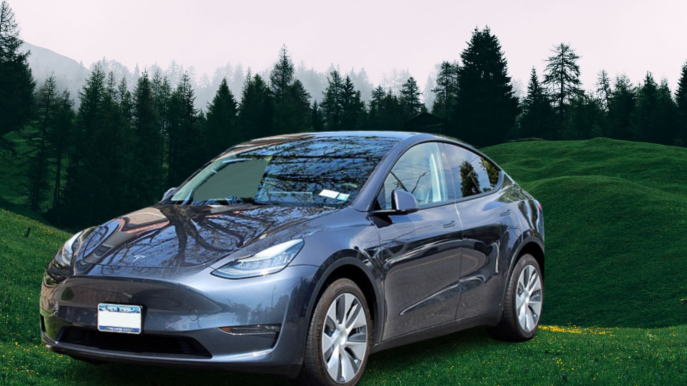 Parked grey Tesla Model Y
